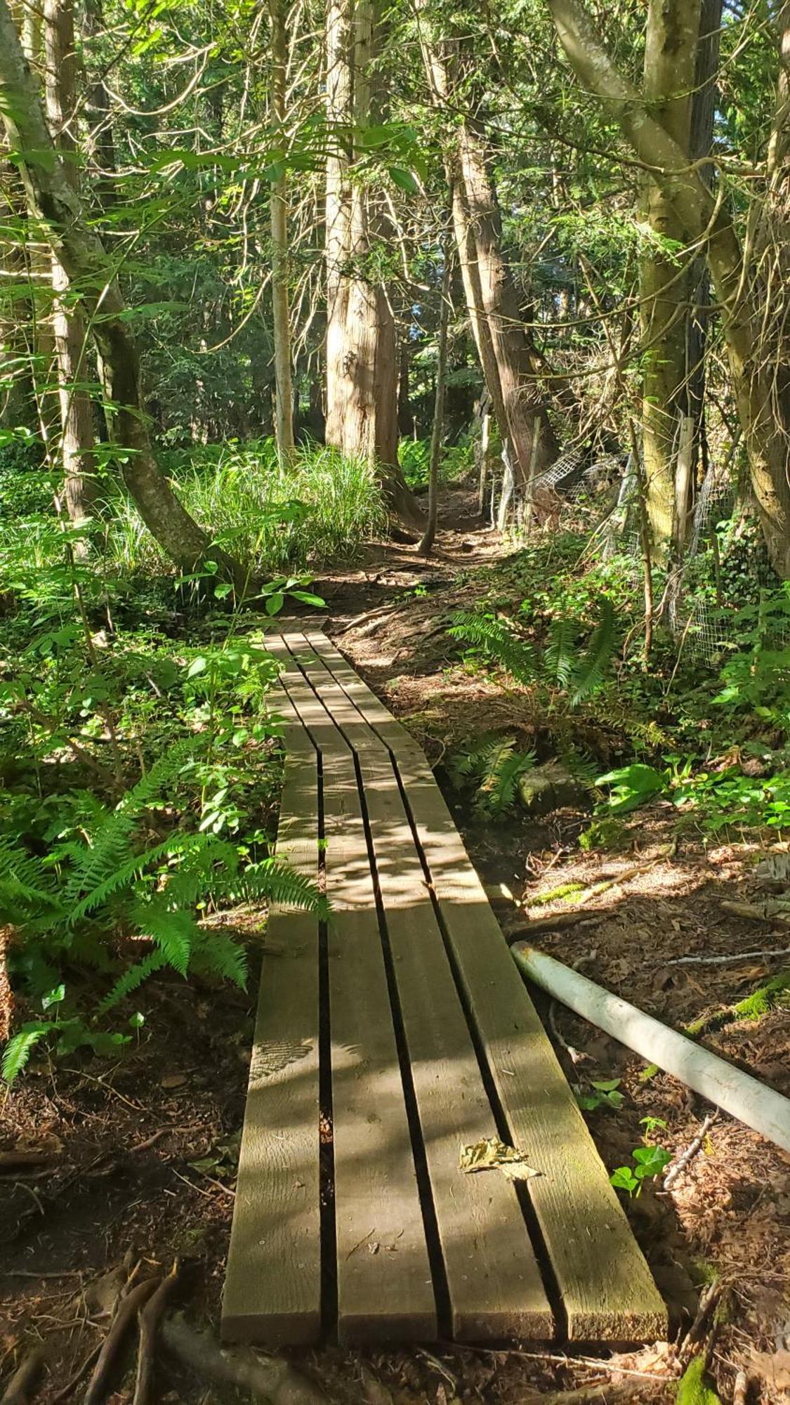 Haven Touchstone Roberts Creek