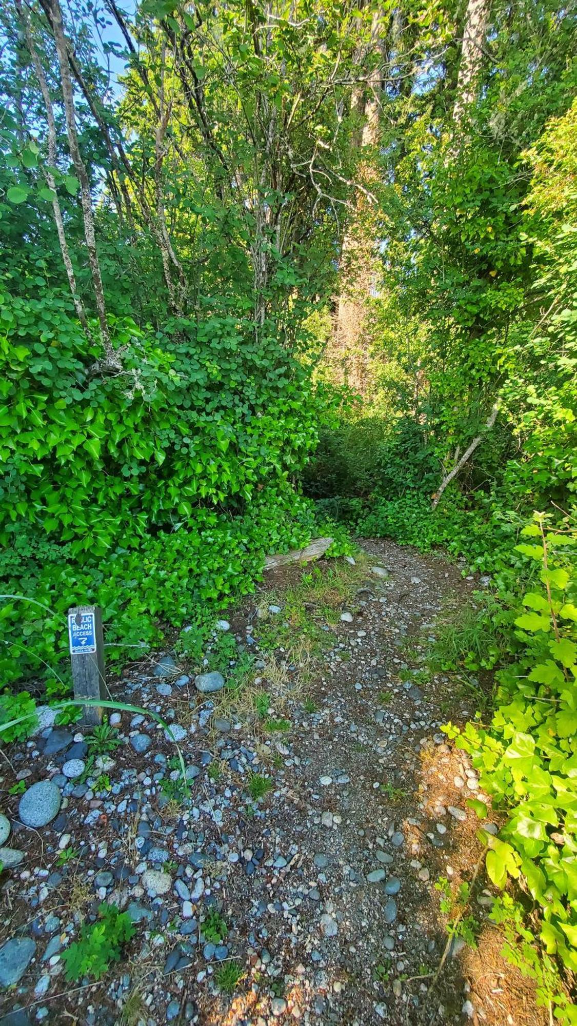 Holiday home Haven Touchstone Roberts Creek